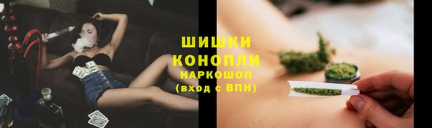 прущие грибы Абдулино